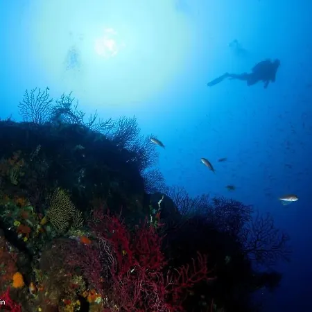 別荘 Escarpolette Mandelieu