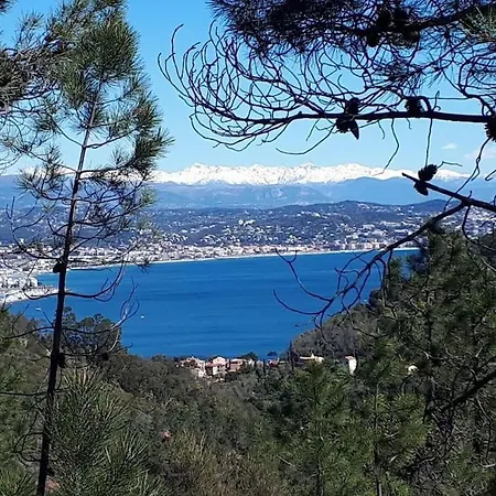 Escarpolette 別荘 Mandelieu