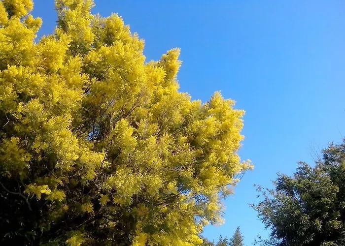 בית נופש Escarpolette מאנדליה-לה-נאפול