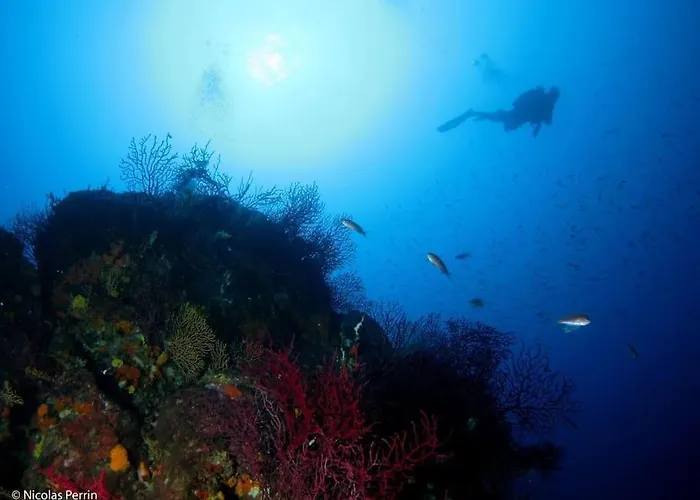 בית נופש Escarpolette מאנדליה-לה-נאפול